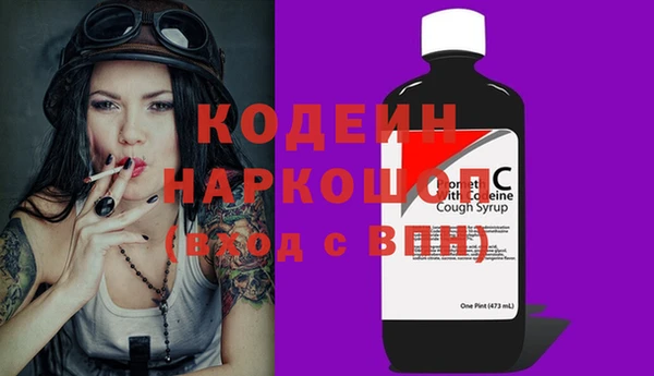 гидра Арсеньев