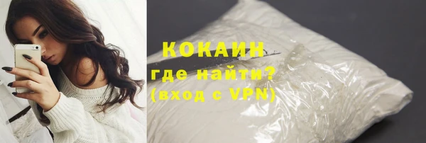 гидра Арсеньев