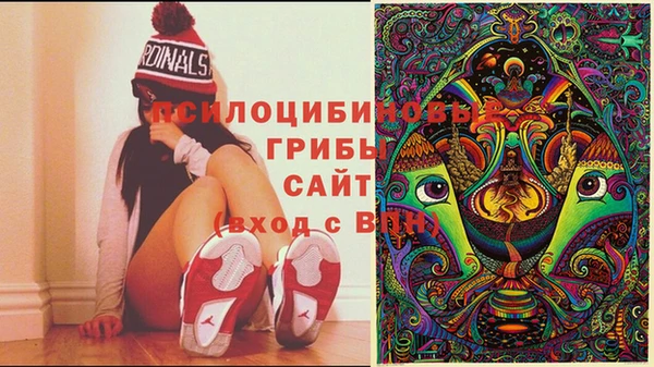 тгк Аркадак
