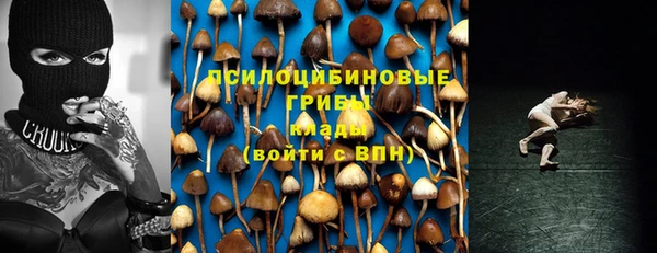 гидра Арсеньев