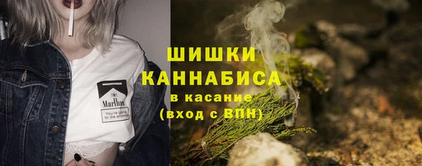 гидра Арсеньев